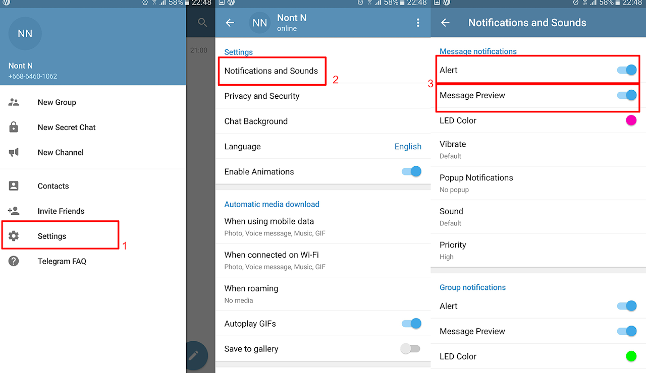 Telegram Alert and Message Preview